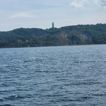 Haus Silbermoewe Semesterbostad Hiddensee