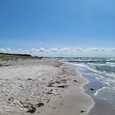 Haus Silbermoewe Semesterbostad Hiddensee